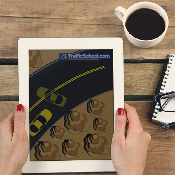 Woman using tablet for traffic school